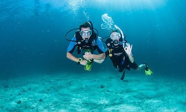 PADI Diving Courses and Dive Trip in Chang Wat Surat Thani,