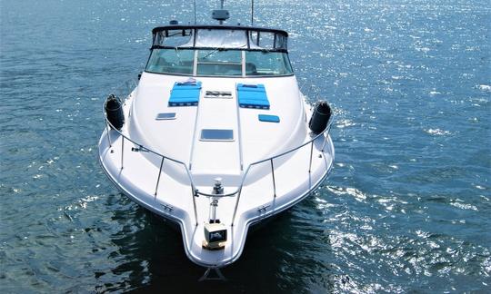 Iate casual aberto Sea Ray 42