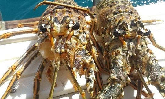 Plongée en apnée, pêche, croisière dans la mer des Caraïbes à Hopkins Belize