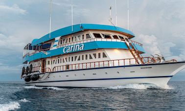 Maldives Liveaboard Diving on Carina Wooden Vessel!