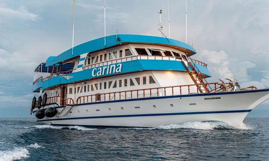 Carina Maldives Liveaboard