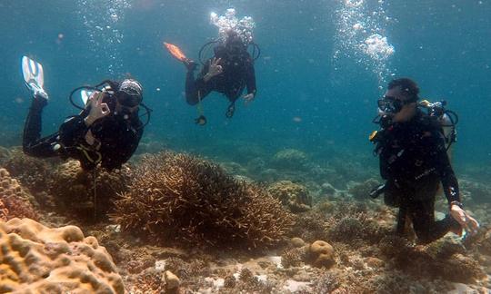 Descubra o mergulho e o mergulho divertido na Ilha do Ticao