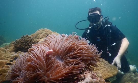 Diving Trip in Phu Quoc City, Kampot Province