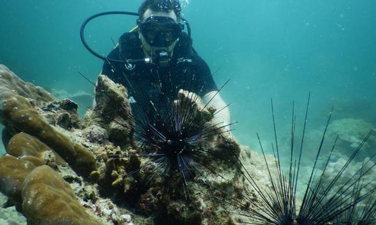 Diving Trip in Phu Quoc City, Kampot Province