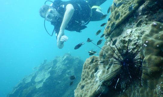 Diving Trip in Phu Quoc City, Kampot Province