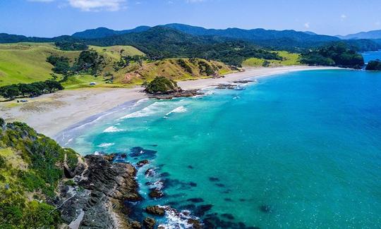 Tour de 3 horas por la costa de Tauranga o recorrido por Fiordland para 4 personas