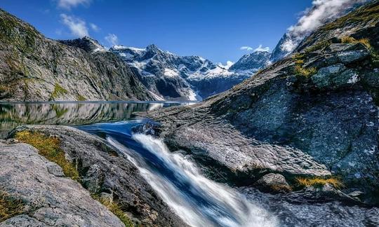 Tour de 3 horas por la costa de Tauranga o recorrido por Fiordland para 4 personas