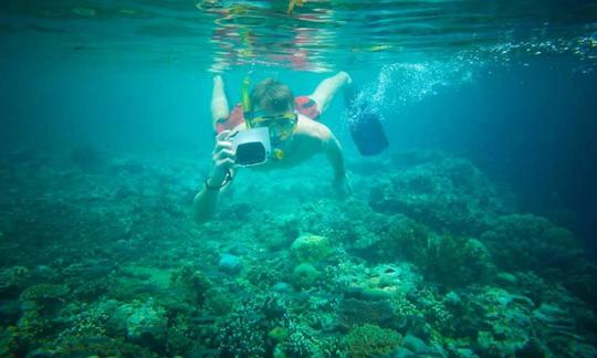 snorkeling