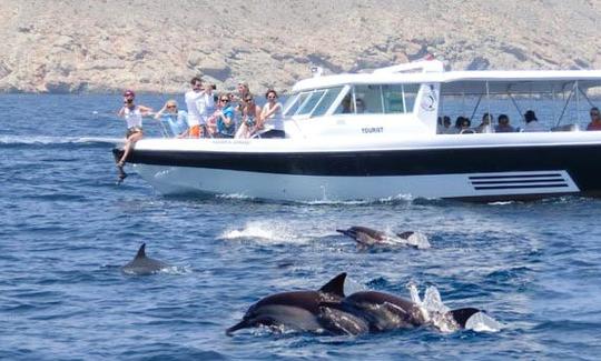 Tours de observación de delfines - Muscat, Omán.