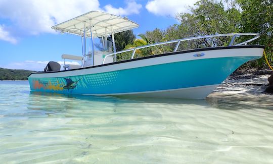 3 Stop Reef Snorkel by Boat in Jonesville Bay, Honduras