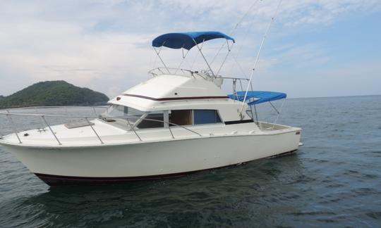 Fishing Charter '35ft Aries em Zihuatanejo