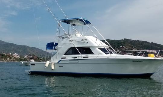 Location de pêche sur un yacht de croisière SEADUCTION de 42 pieds à Ixtapa Zihuatanejo, Mexique