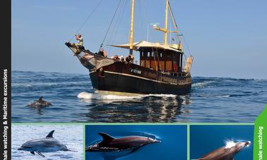 ¡Lo más destacado de la costa de Bussard en La Palma y la aventura en mar abierto!