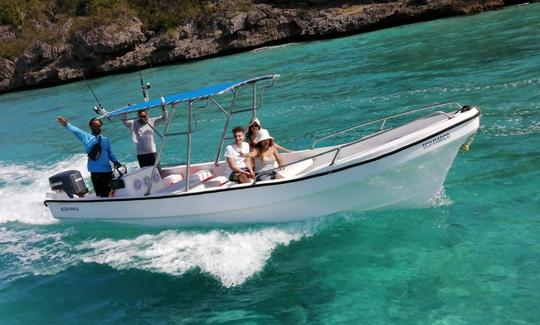 Bote privado de 26 pies para hasta 12 personas en Bayahibe Rd