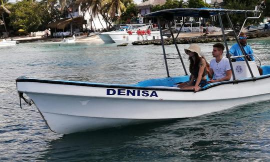 Private Center Console Boat Saona Island Bayahibe Rd