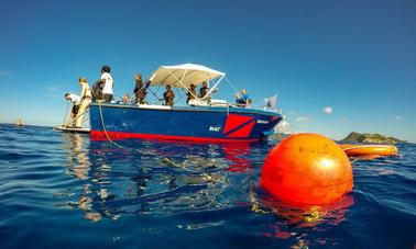 Mergulho em Sint Maarten