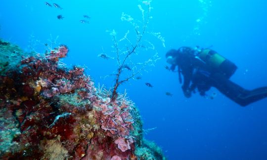 Crystal Clear Water Diving Lessons on the Mediterranean Sea! Training & Lessons!