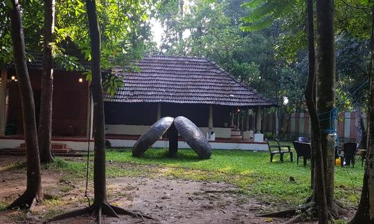 Paseo en barco circular por el río Meenachil en Kottayam