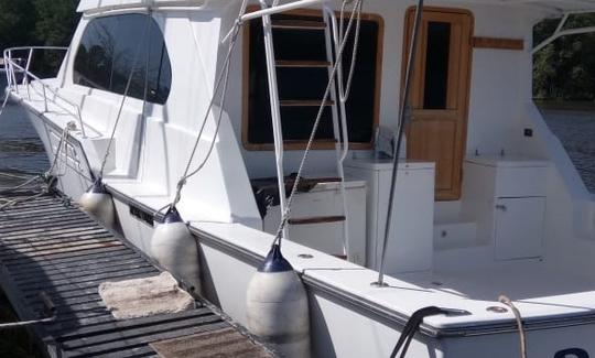 57' Sportfishing Charter for 10 People in Provincia de Chiriquí, Panama