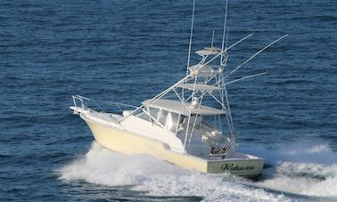 Charter de pesca en alta mar de medio día en las Islas Turcas y Caicos de «Wahooter»