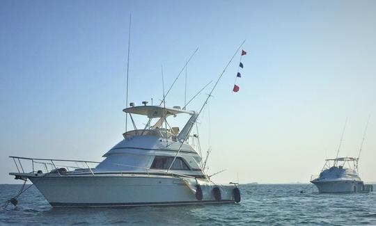 Successful Day tag and released Two Blue Marlin one Sailfish