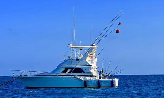 MV WHATEVER IT TAKES .
This is a Bertram 37 with Twin 375 HP Caterpillar Engines rigged for Sport Fishing in Kenya