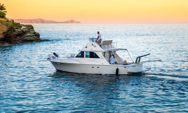 Fishing Charter in Bertram 35ft Sport Fisherman Yacht in Crete, Greece