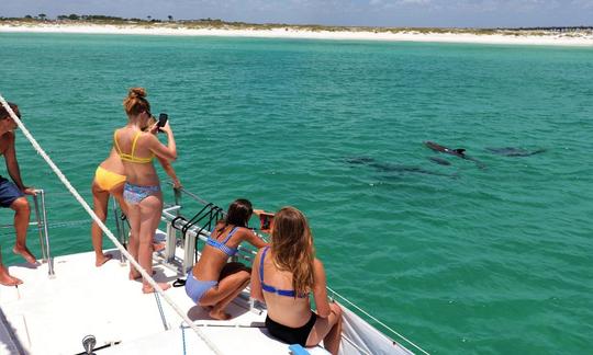 Charter privado de 4 horas em Destin, FL! Ilha do Caranguejo, mergulho com snorkel, golfinhos e muito mais!