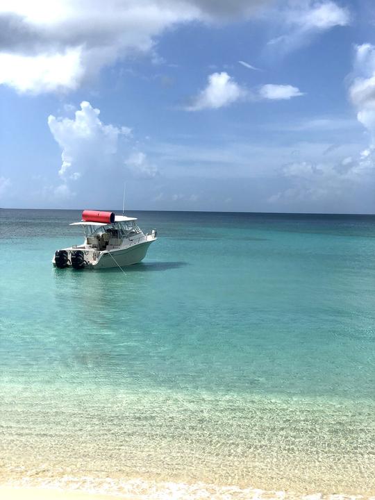 Grady White 33' - Palomino/Icacos - Culebra Vieques (Up to 10 people)