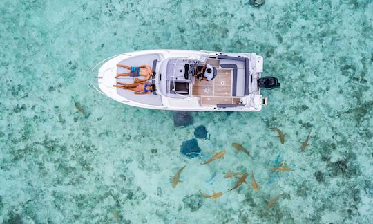 Alquiler de barco privado en Bora Bora en Cap Camarat de 25 pies