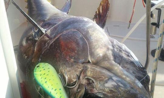 Blue Rampage Big Game Fishing Charter Albufeira, Portugal