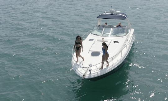 38ft Sea Ray Sundancer in Chicago, Burhnam Harbor (Up to 12 guests)