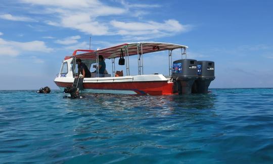 Lancha rápida de fibra de vidrio para 10 personas en Kecamatan Makassar, Indonesia: ¡ideal para viajes privados!