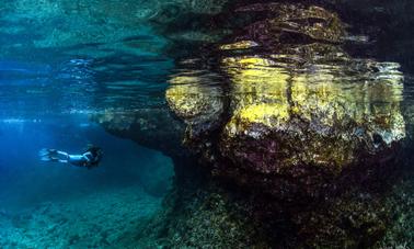 Plongée sous-marine avec Kron Diving, île de Rab