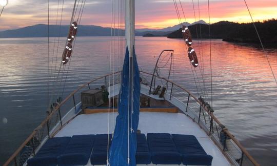 Sailing Gulet para fretamento privado com capacidade para 12 pessoas em Bodrum, Turquia