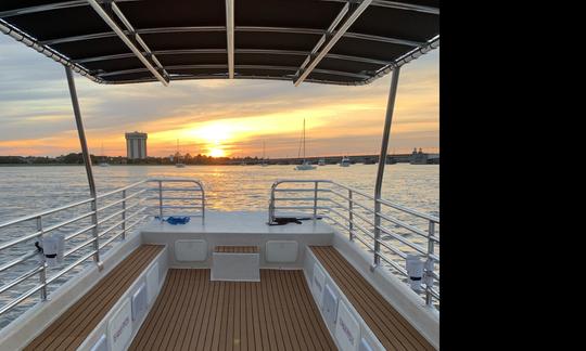 Recorrido de 2 horas en barco con delfines por Charleston