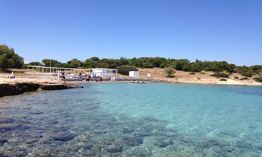 Daily Trip from Athens to Aegina and Moni Islands