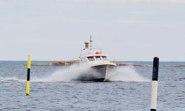 Alquiler de barco de buceo/alquiler privado para 12 personas en Hangö, Finlandia