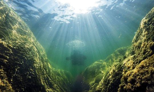 The joy of diving, picture Leif Åström