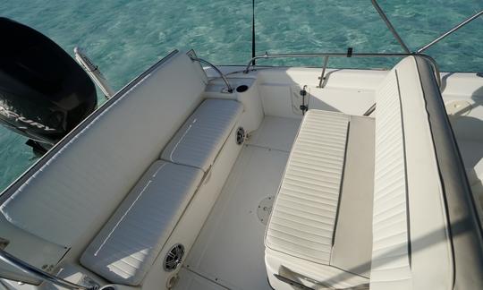 Staniel Cay Private 22 Boston Whaler Dauntless with captain and mate up to 7 pax