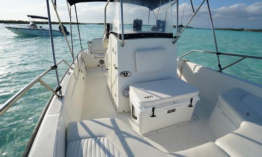 Staniel Cay Private 22 Boston Whaler Dauntless with captain and mate up to 7 pax