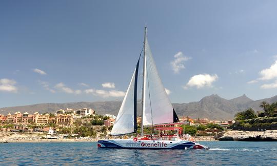 Catamaran écologique pour observer et écouter les baleines à Tenerife