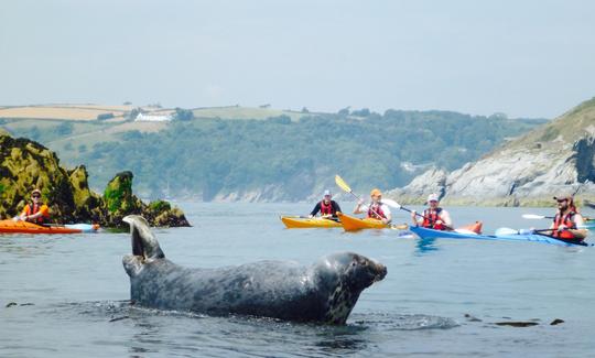 Caiaque no mar em Dartmouth (meio dia para adultos)