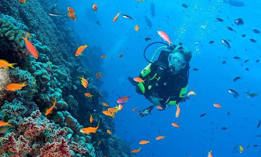 Buceo y apnea en Panglao, Bohol