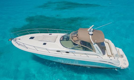 Sea Ray 410 Express Cruiser Private Yacht Rental for Groups Families in Cancún