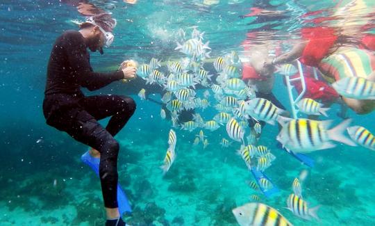 Swimming with fish negril lux yacht rental