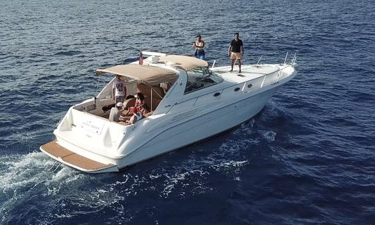 Beautiful Yacht - Searay 450 Sundancer in Playa del Carmen