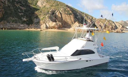 Charte de pêche sur un pêcheur sportif de 31 pieds à Cabo San Lucas, Baja California Sur