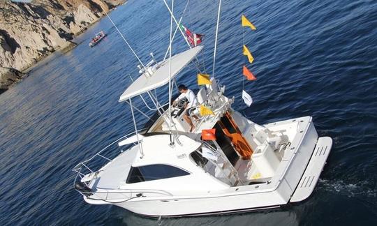 Charte de pêche sur un pêcheur sportif de 31 pieds à Cabo San Lucas, Baja California Sur