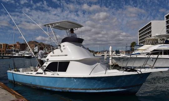 31' Bertram - Halcon Sport Fisherman Fishing Charter in Cabo San Lucas, Mexico